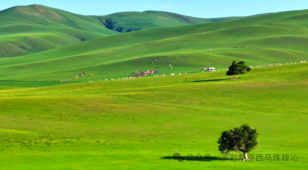 2411458884_0s.jpg 2411458884_0s.jpg