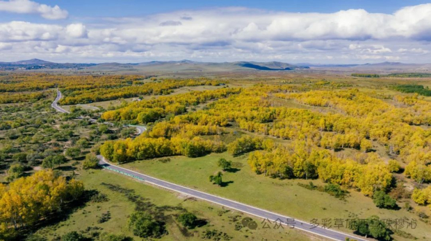 640 (7) (2).jpg 640 (7) (2).jpg