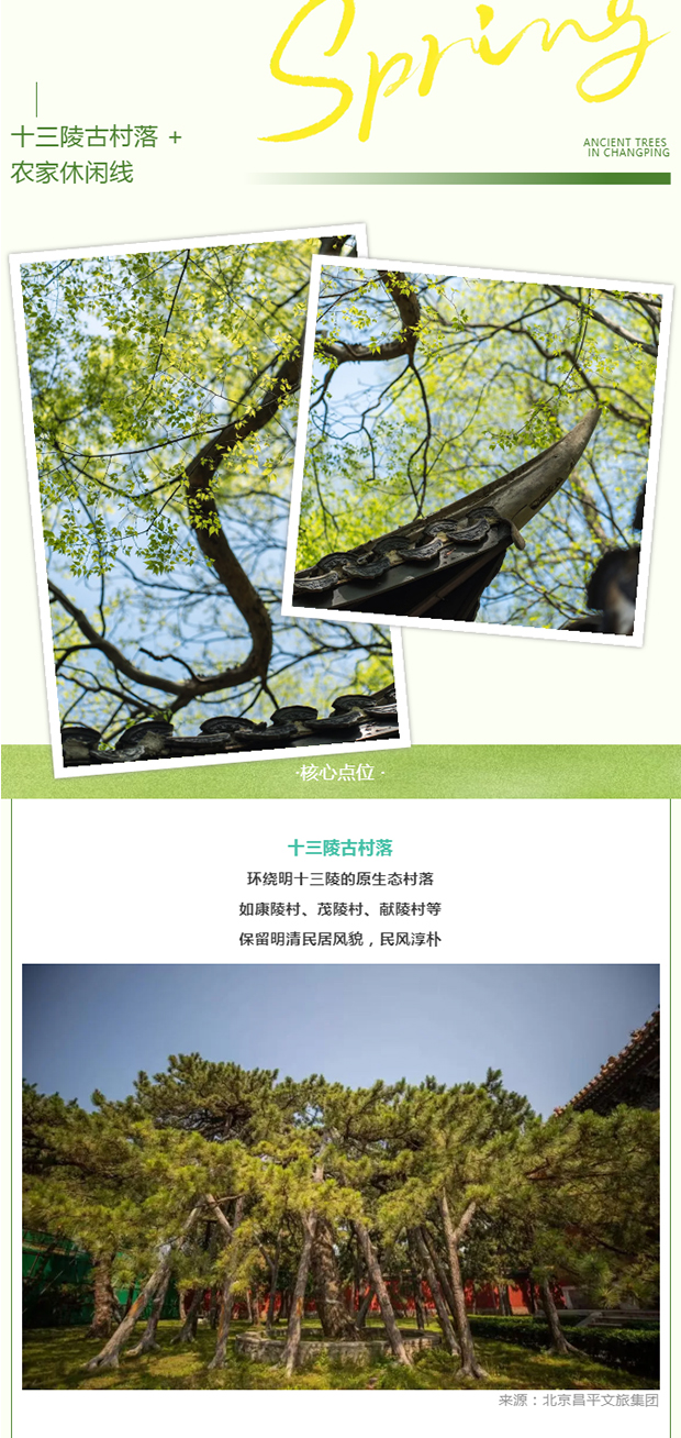 ��ƽ4���������������� �� ����ǧ��ż����ʱ������_0014_ͼ�� 15.jpg